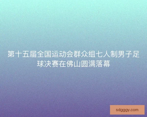 第十五届全国运动会群众组七人制男子足球决赛在佛山圆满落幕